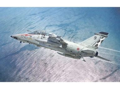 737028-0.webp