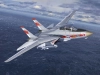 737047-8.webp