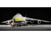 737091-13.webp