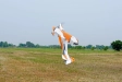740529-8.webp
